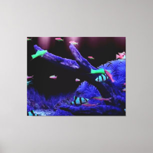 Impressão Em Tela Aquário