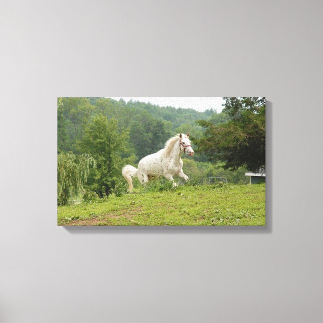 Impressão Em Tela Aqui Estou. (Frente)