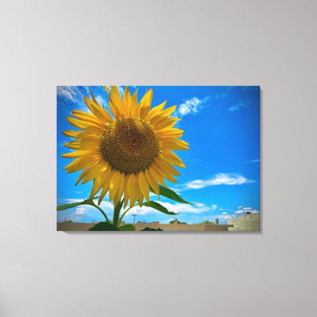 Impressão Em Tela Aqui vem o sol (Frente)