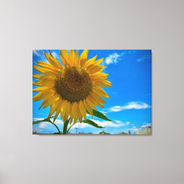 Impressão Em Tela Aqui vem o sol