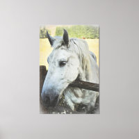 *~* AR22 Cavalo Branco sobre o Equino de Cerca
