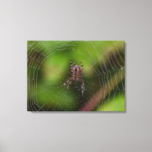 Impressão Em Tela Aranha