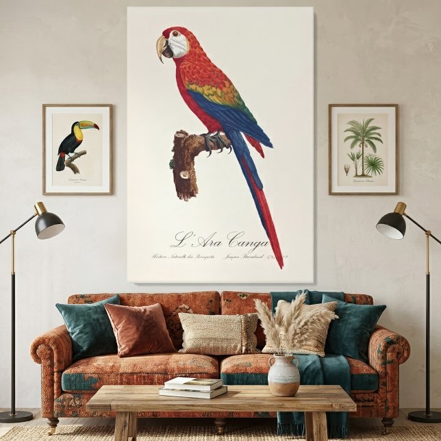 Impressão Em Tela Arara-vermelha, Ara macao (Scarlet Macaw or Red-Breasted Macaw, Ara macao. Canvas Print)