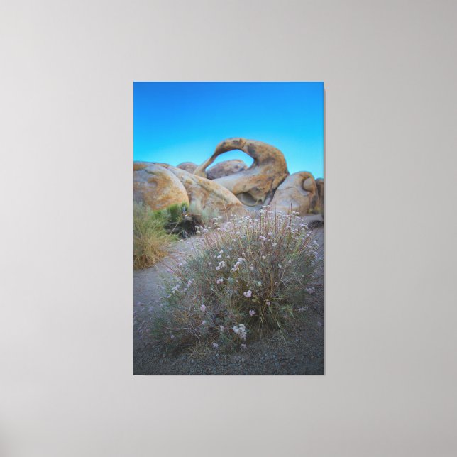 Impressão Em Tela Arco Colinas do Alabama (Frente)