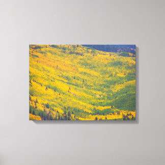 Impressão Em Tela Arizonas do Flagstaff