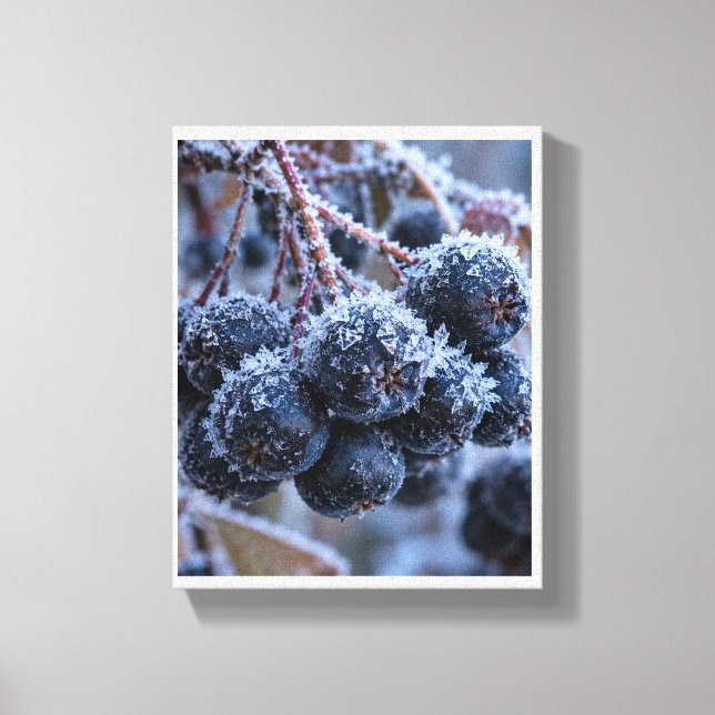 Impressão Em Tela Arônia macro gelo (Frente)