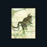 Impressão Em Tela Arrancas na água<br><div class="desc">O Vision Studio está usando a técnica do giclée (francês para "spray") nesta peça de arte. Ela o torna único e os diferentes tons de verde enfatizam a pacificação dessa imagem. Escolha este trabalho de arte para o próximo produto Zazzle.</div>