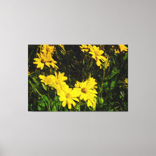 Impressão Em Tela Arrofiraf Balsamroot Yellow Wilflower Abstrato