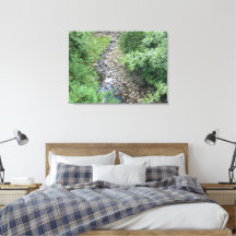 Arroyo Pacífico 1