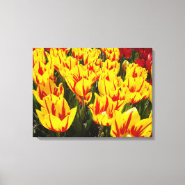 Impressão Em Tela Arte Colorida e Ousada em Tela - Tulipas Amarelas