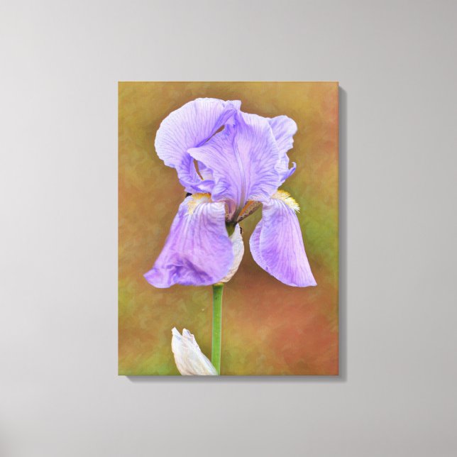 Impressão Em Tela Arte da bela flor de íris roxa (Frente)