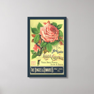 Impressão Em Tela Arte da capa do livro Vintage Guide to Rose Cultur