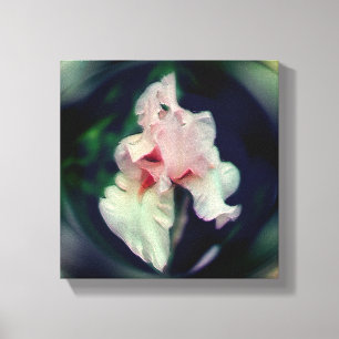 Impressão Em Tela Arte Da Flor Íris De Mão Rosa