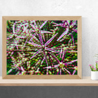 Arte de Abstrato celular com Flor de Alho