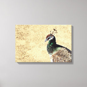 Impressão Em Tela Arte de Ave e Pena de Pavão Elegante