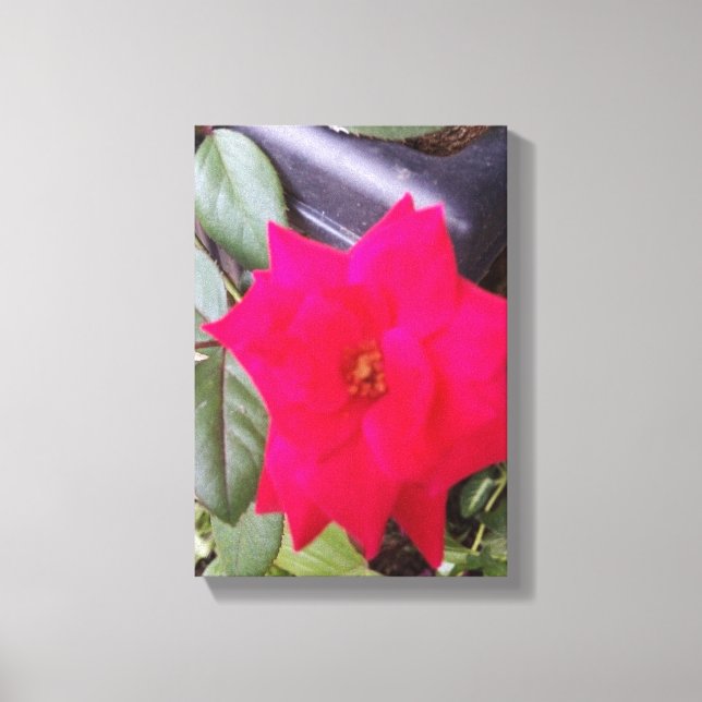 Impressão Em Tela Arte de Captura de Imagem (Frente)