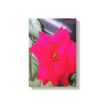 Arte de Captura de Imagem