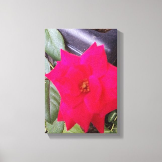 Impressão Em Tela Arte de Captura de Imagem (Frente)