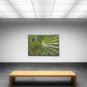 Impressão Em Tela Arte de Contorno de Palma Tropical Preta
