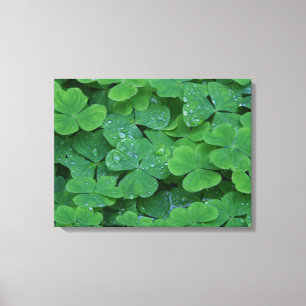 Impressão Em Tela Arte de Muro de Fotografias de Macro de Fechamento