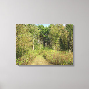 Impressão Em Tela Arte de Parede de Foto da Natureza dos Bosques e T
