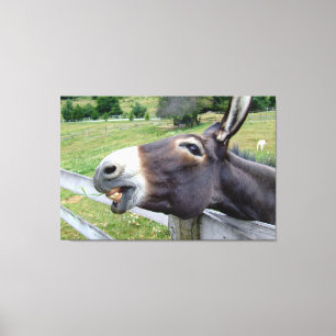 Impressão Em Tela Arte de Parede de Fotografia de Animal Burro Sorri