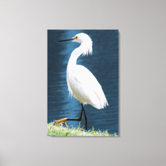 Impressão Em Tela Arte de Parede de Garça Minimalista Natureza Coste