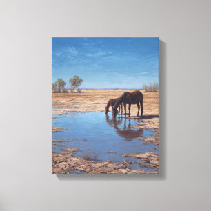 Impressão Em Tela Arte de Reflexo da Água do Deserto do Cavalo Preto
