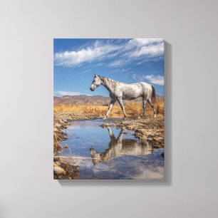 Impressão Em Tela Arte de Reflexo da Lagoa do Cavalo Branco no Deser