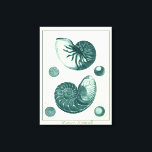 Impressão Em Tela Arte de Seashell Vermelha e Verde<br><div class="desc">O artista Denis Diderot é talentoso e conhecido por suas imagens da vida no mar excelente. Nesta imagem vívida, ele captura dois conchas vermelhas e verdes estaladas no seu estilo mais natural. Conchas são muitas vezes quebradas como esses dois conchas e em um tom de aparência sépia. Pegue seu produto...</div>