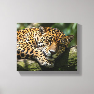 Impressão Em Tela arte de tela de leopardo dormindo na parede