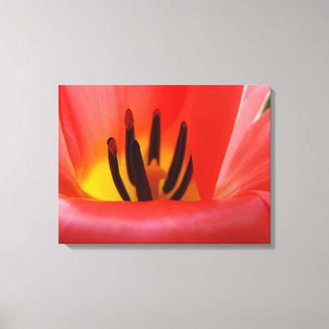 Impressão Em Tela Arte Decorativa Tulipa Vermelha Flor Fotografia Te (Frente)