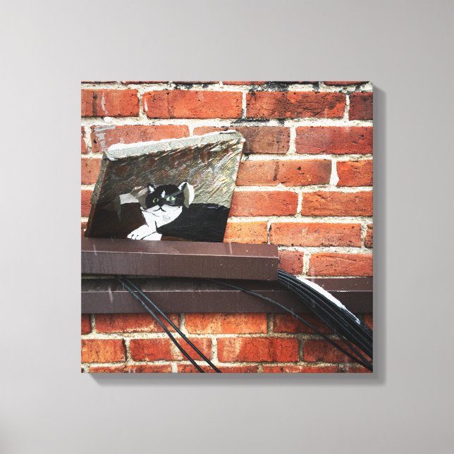 Impressão Em Tela arte do gato beco (Frente)
