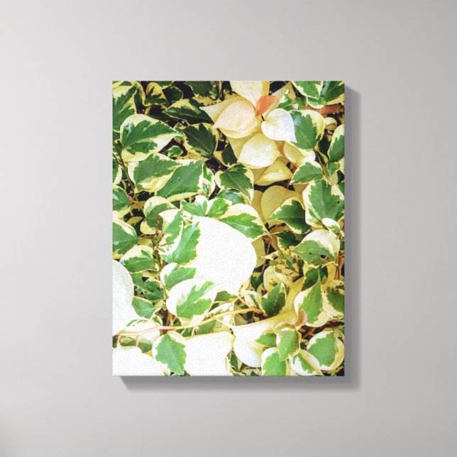 Impressão Em Tela Arte do Jardim Botânico (Frente)