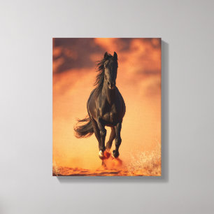 Impressão Em Tela Arte do pôr do sol ardente do cavalo preto carrega