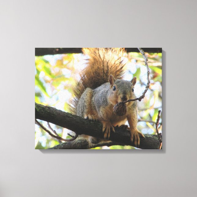 Impressão Em Tela Arte em Tela de Fotografia de Esquilo Fofo Seguran (Frente)