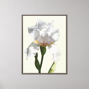 Impressão Em Tela Arte fotográfico em tela de flor de íris branca