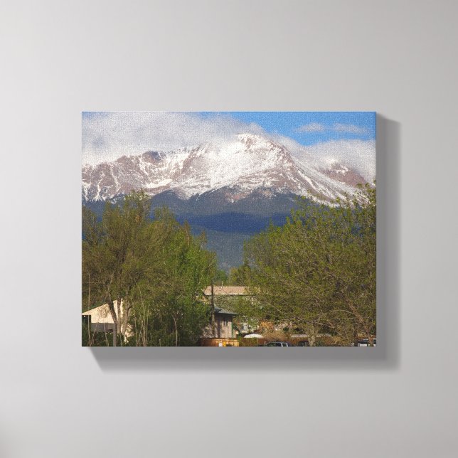 Impressão Em Tela Arte natural (Frente)