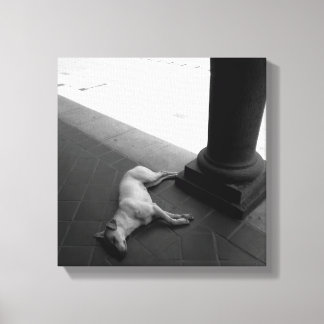 Impressão Em Tela Arte original: "um cochilo pacífico à sombra"