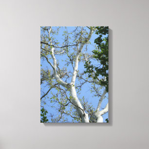 Impressão Em Tela Arte simples bonita da parede da árvore e do céu