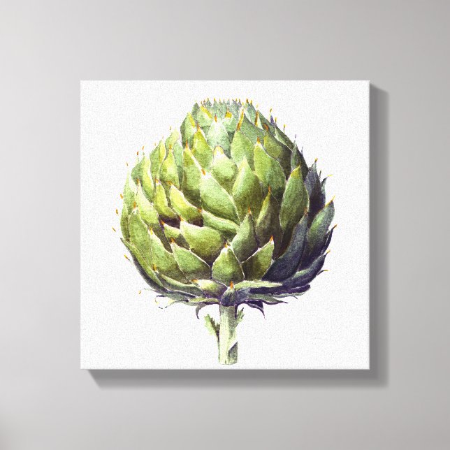Impressão Em Tela Artichoke botânica aqucolor (Frente)