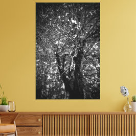 Impressão Em Tela Árvore