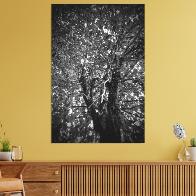 Impressão Em Tela Árvore (Insitu(Sala de estar))