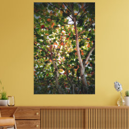 Impressão Em Tela Árvore