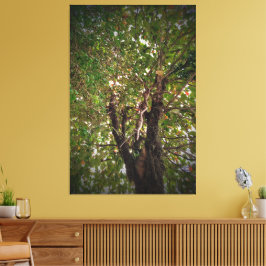 Impressão Em Tela Árvore