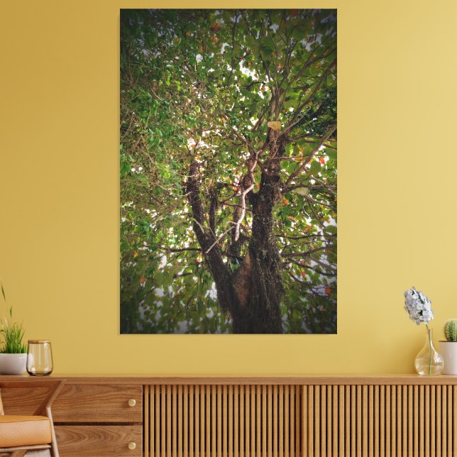 Impressão Em Tela Árvore (Insitu(Sala de estar))