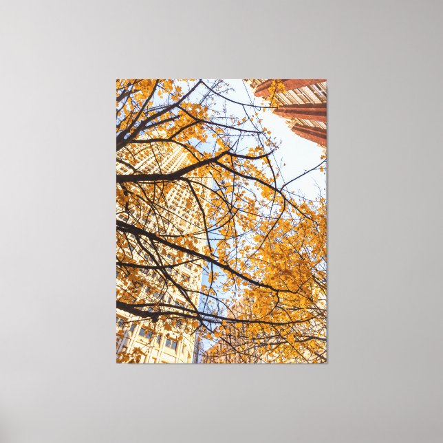 Impressão Em Tela Árvore Automática na Cidade (Frente)