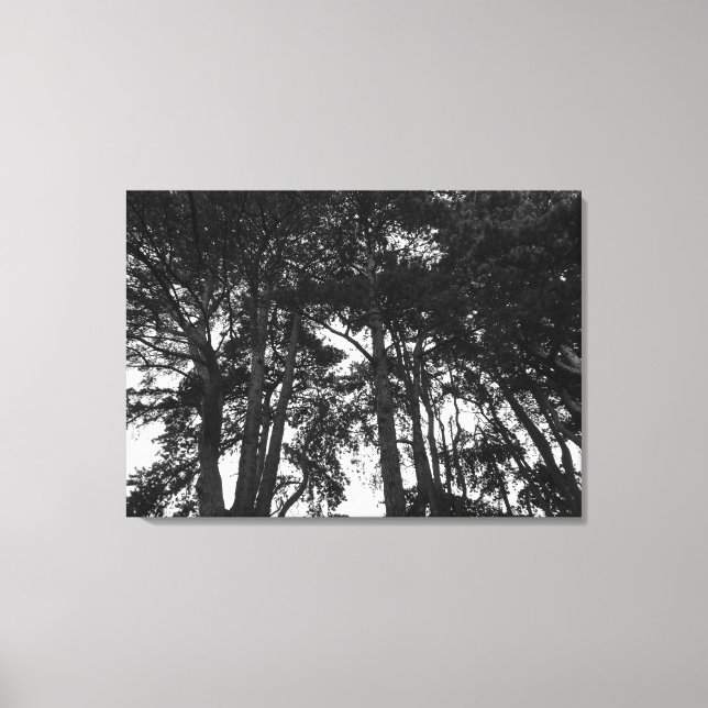 Impressão Em Tela Árvore Canopy II, Bute Park, Cardiff (Frente)