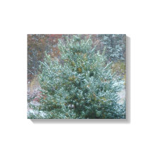 Árvore de Natal Snowy