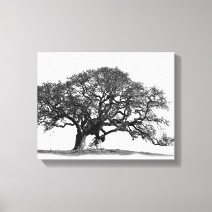 IMPRESSÃO EM TELA ÁRVORE DE OAK